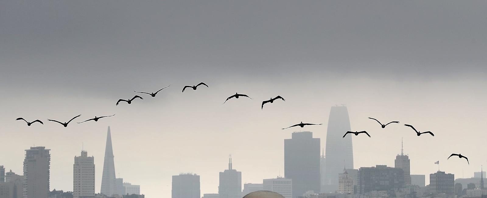 What are the worst cities and states for climate change effects?