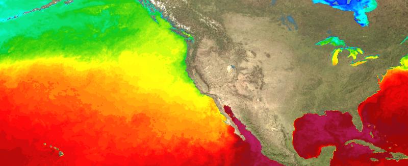 La Niña has ended and El Niño will form during hurricane season, forecasters say | CNN