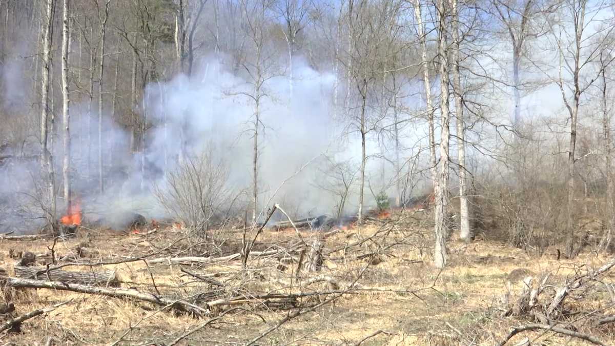 Elk County wildfires damages nearly 180 acres