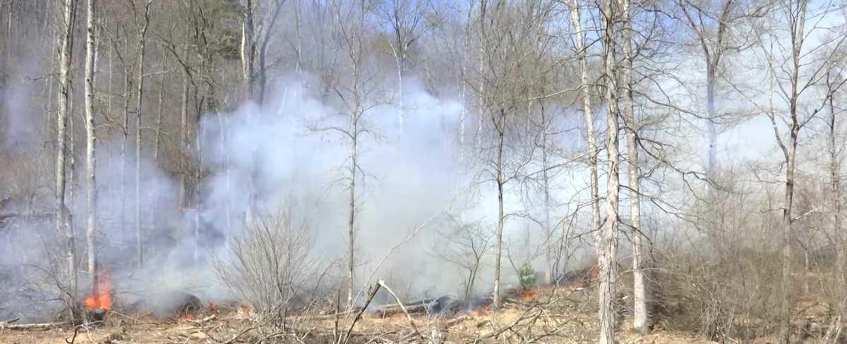 Elk County wildfires damages nearly 180 acres