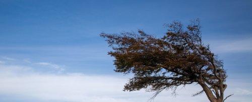 This algorithm could help better predict extreme weather events | Flipboard