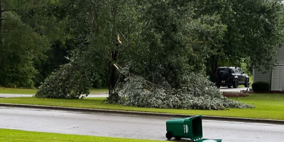 South Georgia severe weather aftermath; Officials give storm safety tips