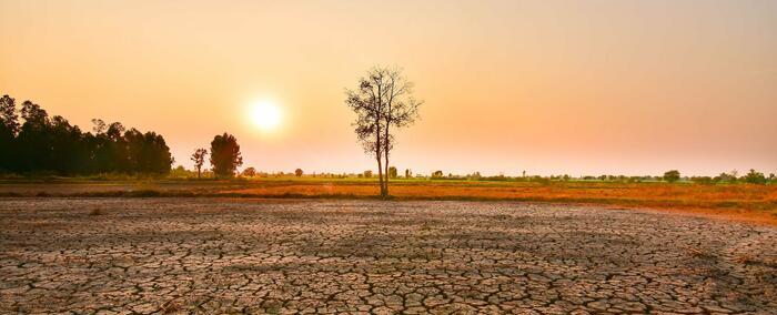 El Niño Fears Surge Among CEOs As Economy In Crosshairs Of Extreme Weather