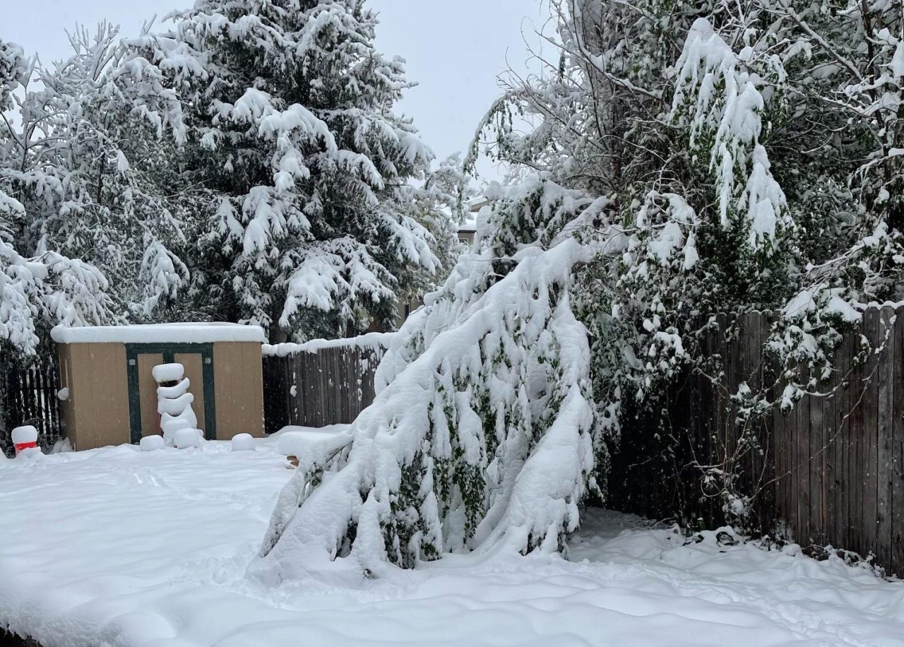 Snow way! A foot of snow fell one year ago during a late May storm