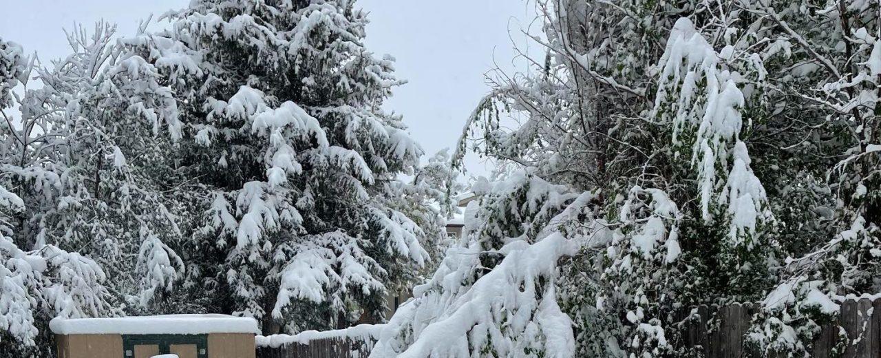 Snow way! A foot of snow fell one year ago during a late May storm