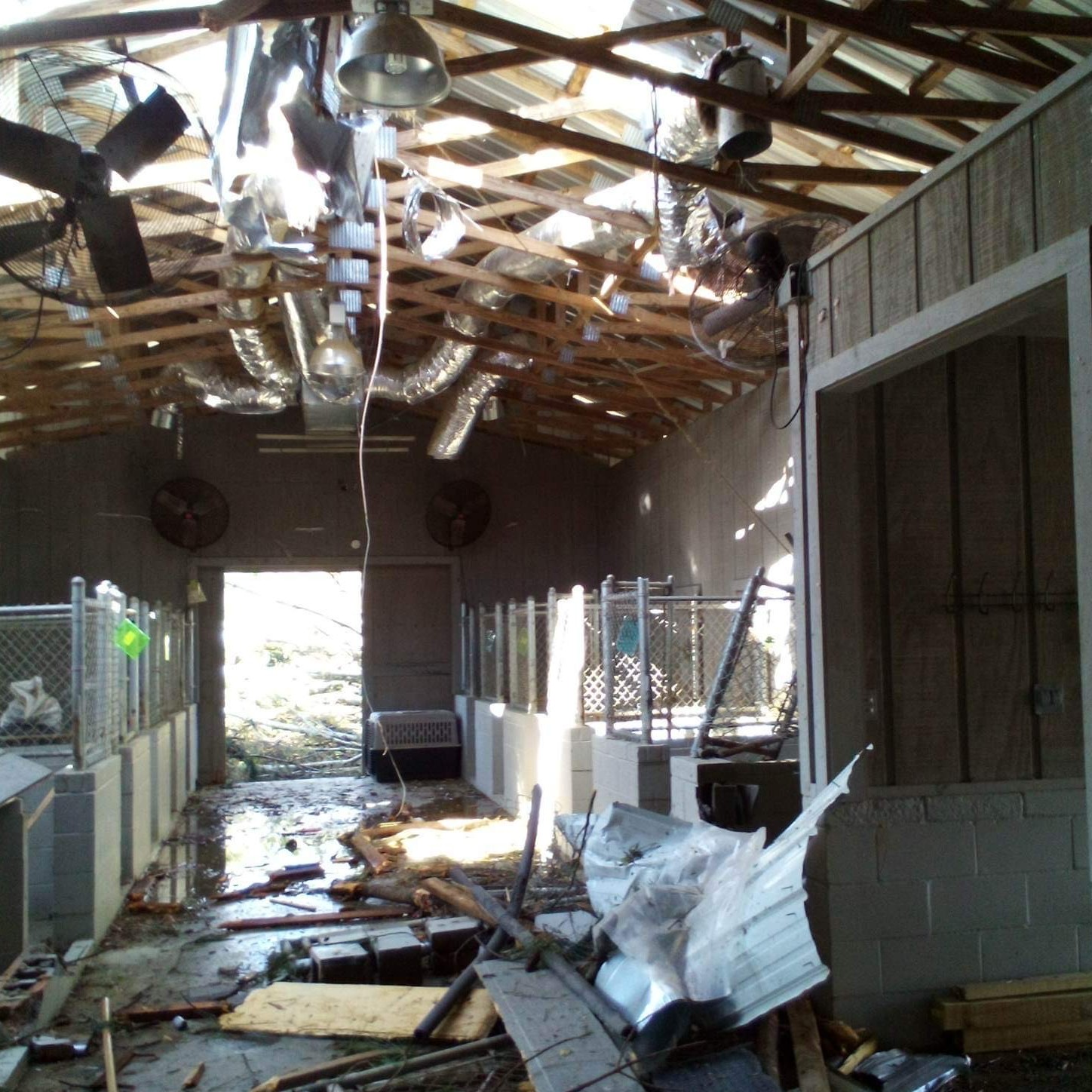 Catastrophic tornados tear through communities and flatten animal shelters | CUDDLY