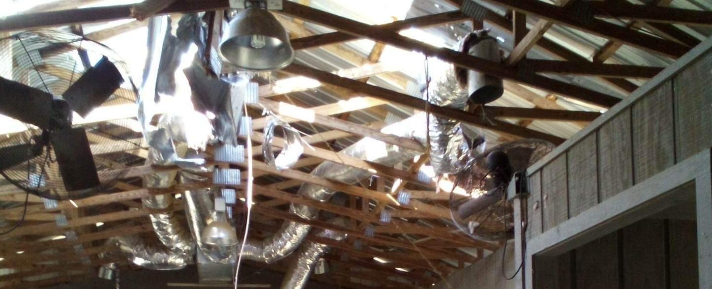 Catastrophic tornados tear through communities and flatten animal shelters | CUDDLY