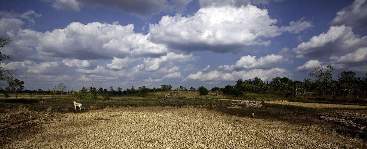 Economic Losses From Extreme Weather Is Severely Underestimated