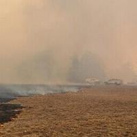 U.S. Sen. Tammy Baldwin seeks answers on recent Wisconsin wildfires
