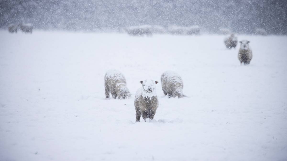 ‘First major winter storm’ with snow, gales and downpours as school holidays get under way