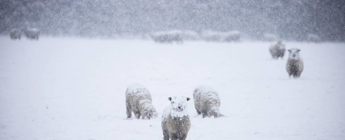 ‘First major winter storm’ with snow, gales and downpours as school holidays get under way