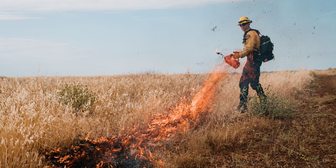 Firefighters Boost Use of Prescribed Burns in Bid to Prevent Massive Wildfires
