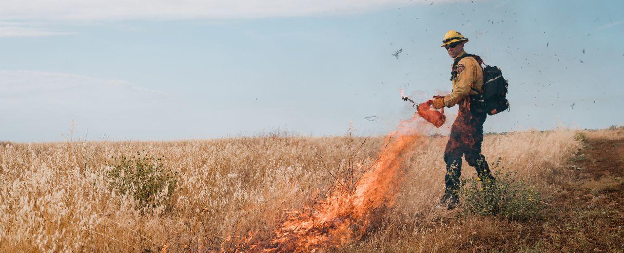 Firefighters Boost Use of Prescribed Burns in Bid to Prevent Massive Wildfires