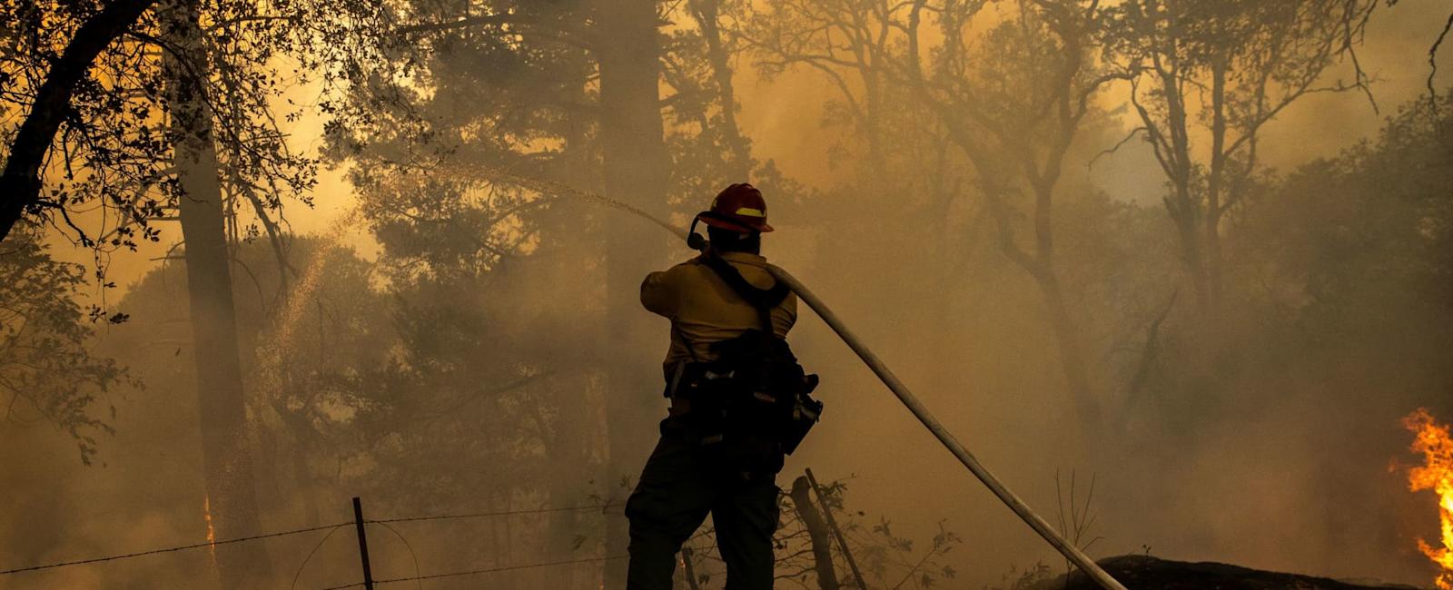 State Farm to stop accepting homeowners insurance applications in California