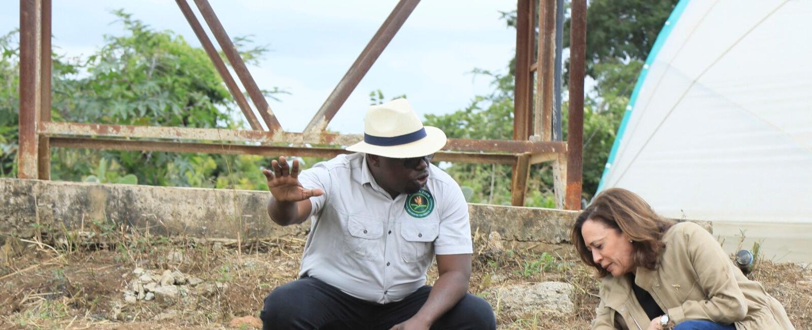 Harris peeks at peppers on farm with climate change in mind - WBBJ TV