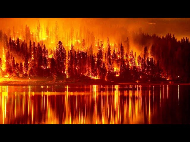 Fiery Inferno: Over 100 wildfires burn Canada, massive evacuation underway