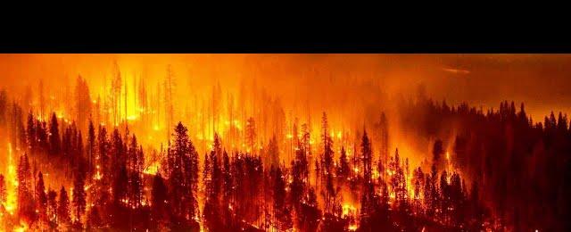 Fiery Inferno: Over 100 wildfires burn Canada, massive evacuation underway