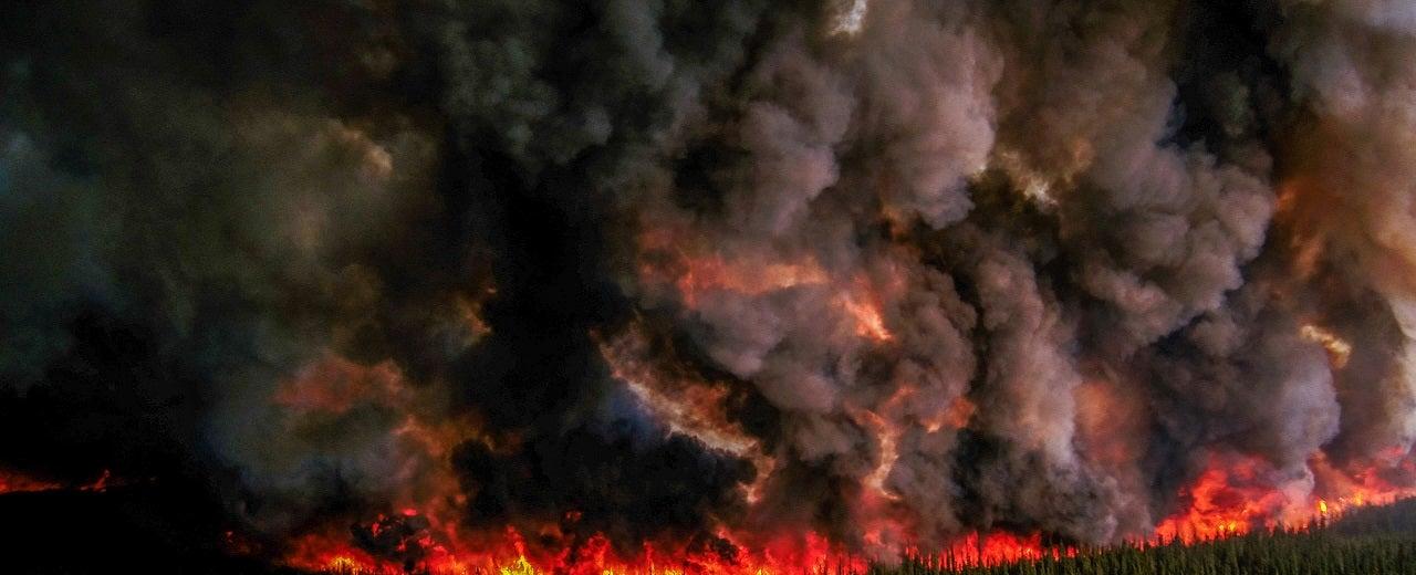 Wildfires aren’t getting worse because of climate change. The real culprit will surprise you