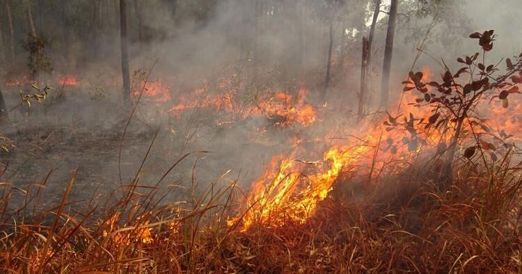 Wildfire in Park County calls for mandatory evacuation