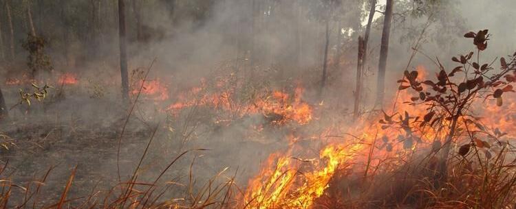Wildfire in Park County calls for mandatory evacuation