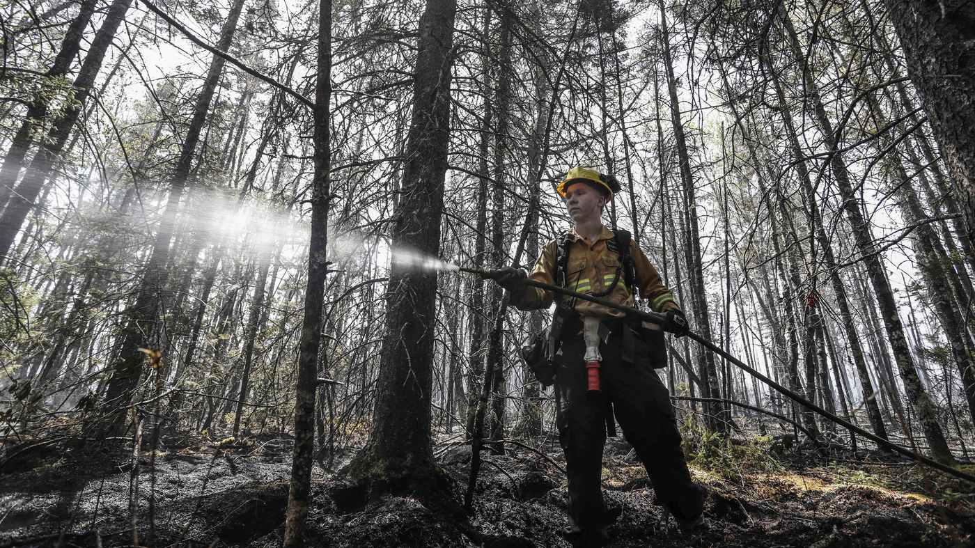 Rain brings much-needed relief to firefighters battling Nova Scotia wildfires