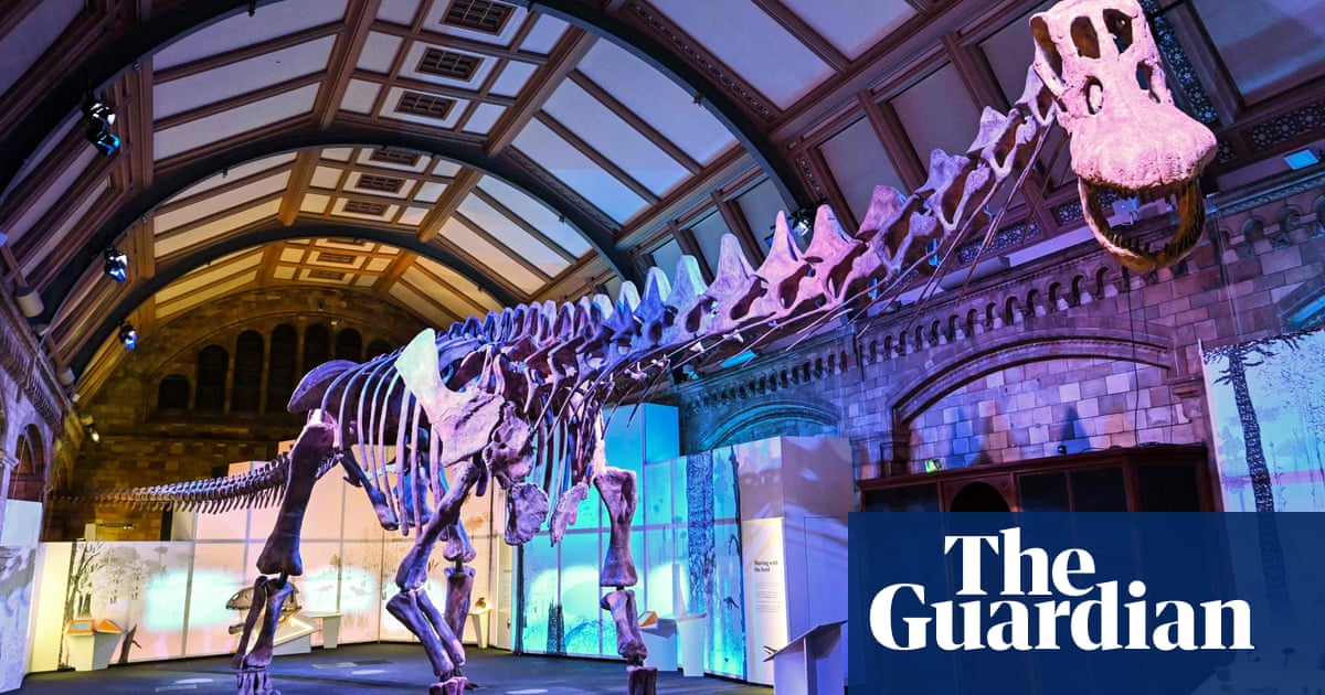Titanosaur, floods and a Mayan burial: Thursday’s best photos
