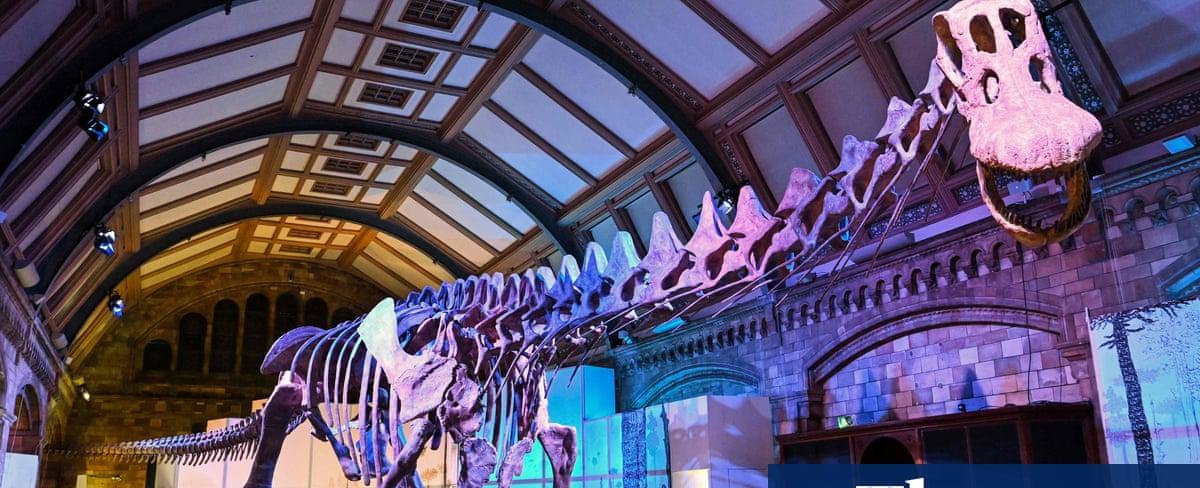 Titanosaur, floods and a Mayan burial: Thursday’s best photos