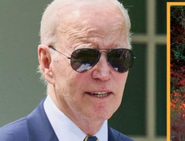 Biden Announces By 2025 All Wildfires Must Be Electric