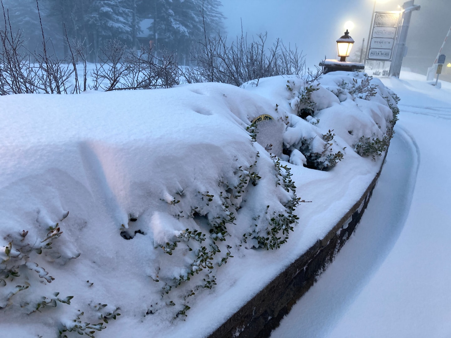 Historic May snow in Michigan as unusually cold storm swirls over Northeast