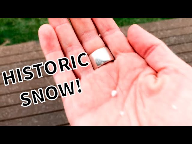 HISTORIC SNOW STORM WHERE IT NEVER SNOWS!