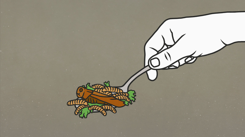 Government Report: All UK Airports Must Close In Next 10 Years, Beef And Lamb Will Be Banned, & Construction Of New Buildings Will Cease In Name Of “Climate Change”