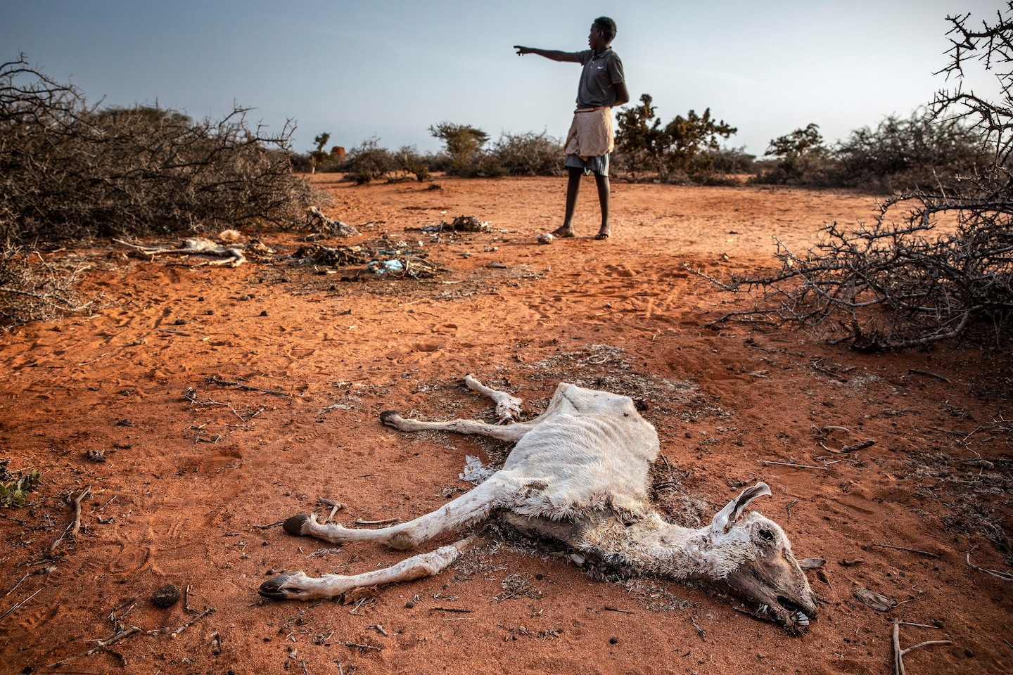 Climate change caused catastrophic East Africa drought, scientists say