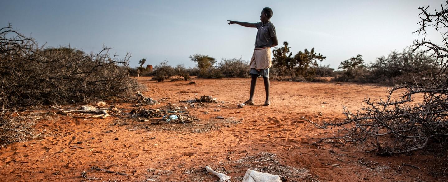 Climate change caused catastrophic East Africa drought, scientists say