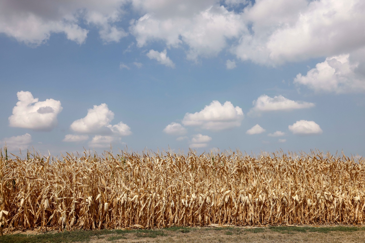 Macron unveils plan to save water amid climate change toll
