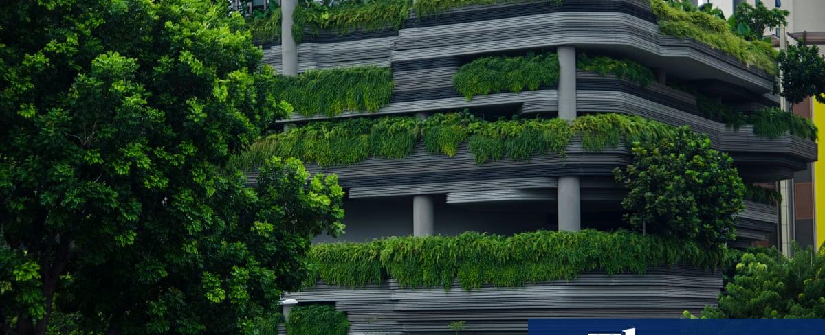 Can cities help us fight climate change? – podcast