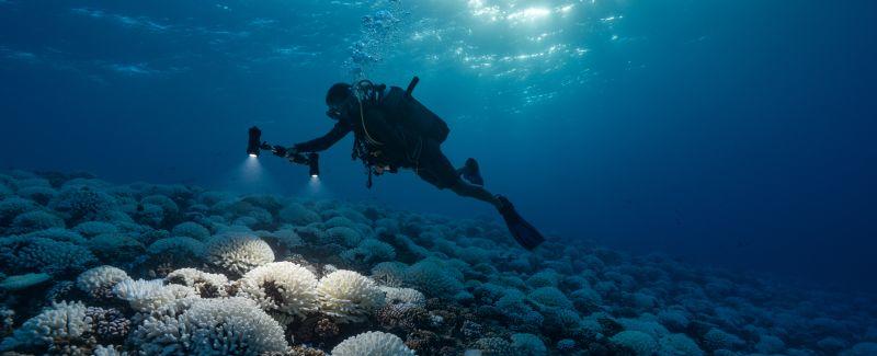 Ocean temperatures are off the charts right now, and scientists are alarmed | CNN