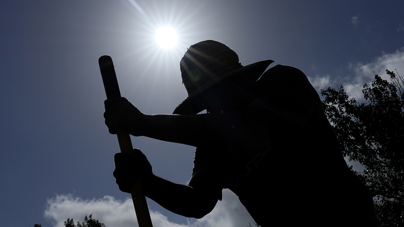 How climate change and El Niño are making heat waves worse : NPR