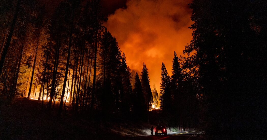 Heat Will Likely Soar to Record Levels in Next 5 Years, WMO Says