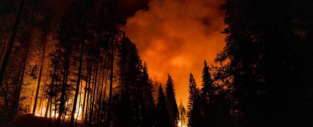 Heat Will Likely Soar to Record Levels in Next 5 Years, WMO Says