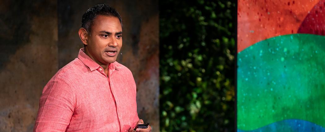 Dave Sivaprasad: Mangroves, storm walls and other ways to protect coasts from climate change