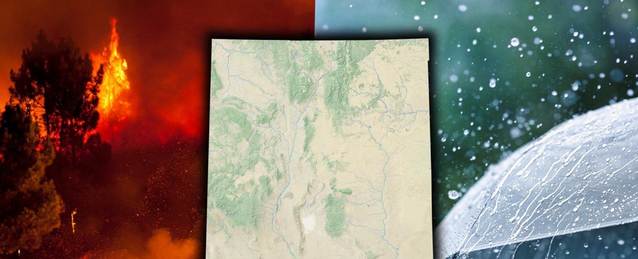 New Mexico could see fewer big wildfires in 2023