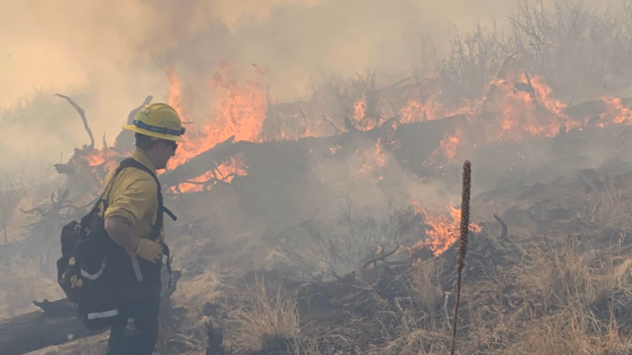 Politicians tell Forest Service: Do more to fight wildfires | KRDO