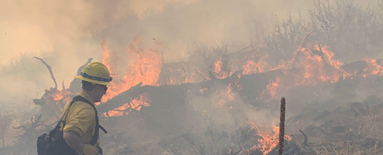 Politicians tell Forest Service: Do more to fight wildfires | KRDO