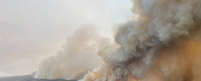 Alberta declares state of emergency because of wildfires