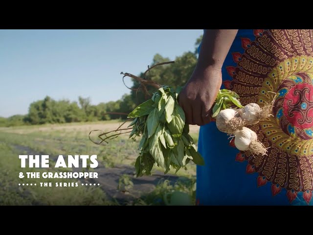 Black Farmers are Already Responding to Climate Change. Here’s How.