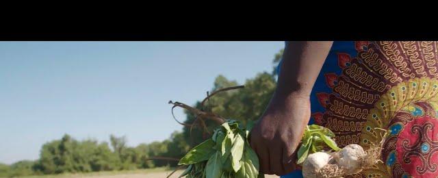 Black Farmers are Already Responding to Climate Change. Here’s How.