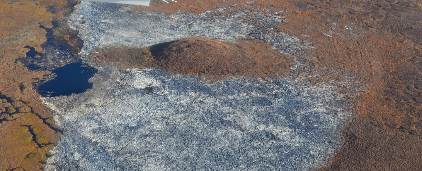 A logjam as big as Manhattan is battling climate change