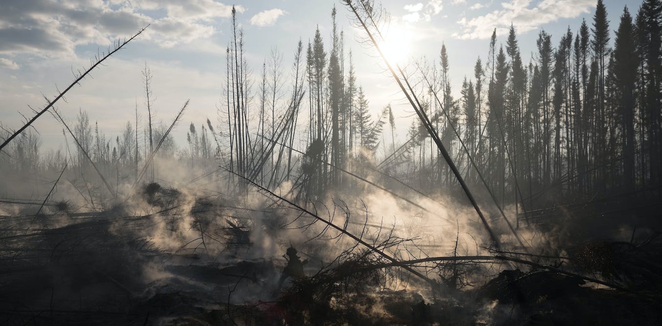Up in smoke: Human activities are fuelling wildfires that burn essential carbon-sequestering peatlands