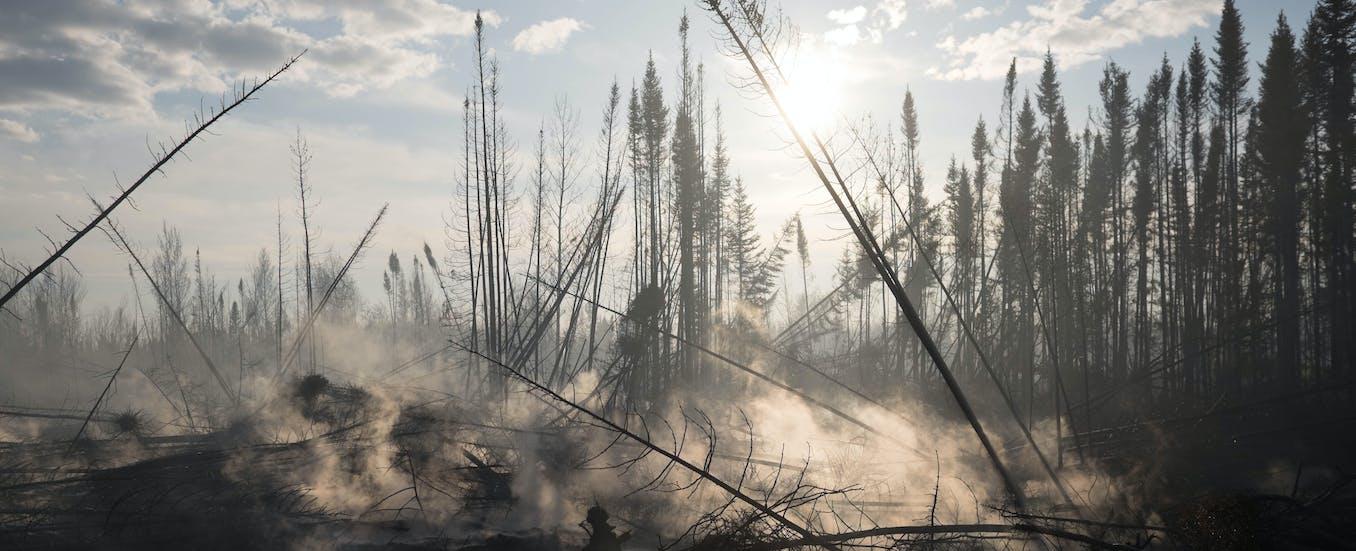 Up in smoke: Human activities are fuelling wildfires that burn essential carbon-sequestering peatlands
