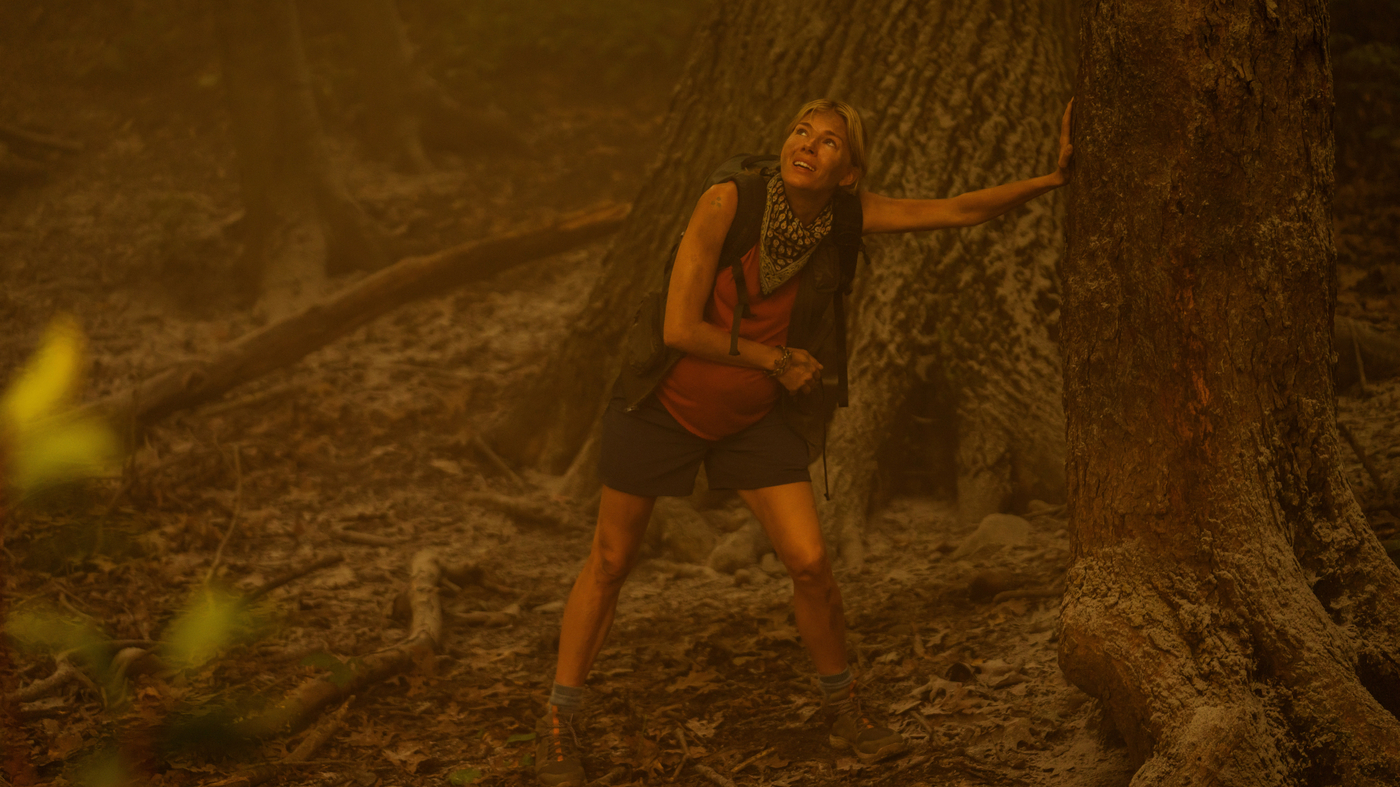 'Extrapolations' depicts the everyday of climate change